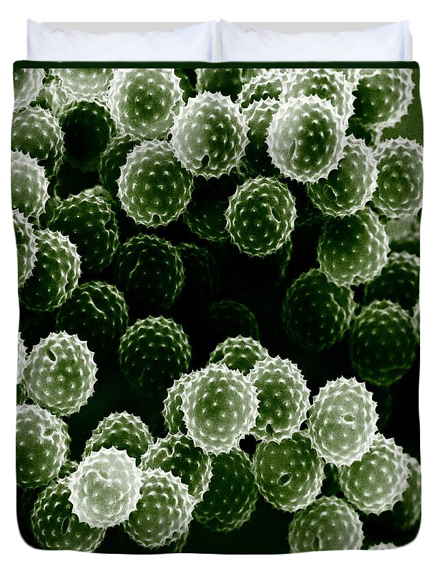 Allergen Duvet Cover featuring the photograph Ragweed Pollen Sem by David M. Phillips / The Population Council