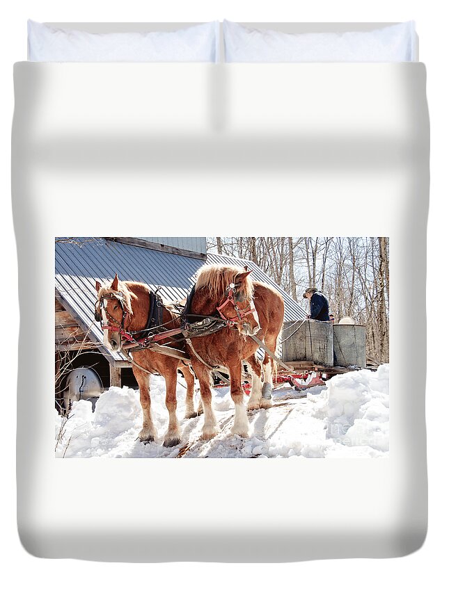 Maple Syrup Duvet Cover featuring the photograph Ready to go #2 by Cheryl Baxter