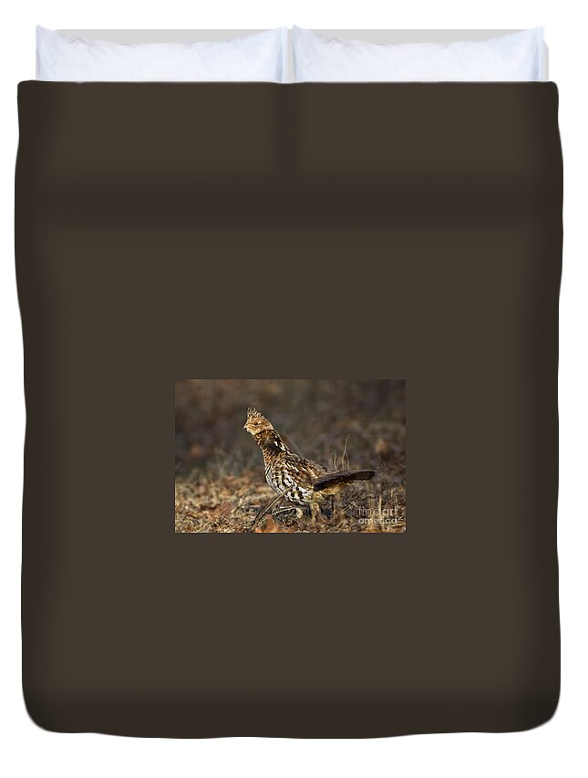 Bedford Duvet Cover featuring the photograph Ruffed Grouse #2 by Ronald Lutz
