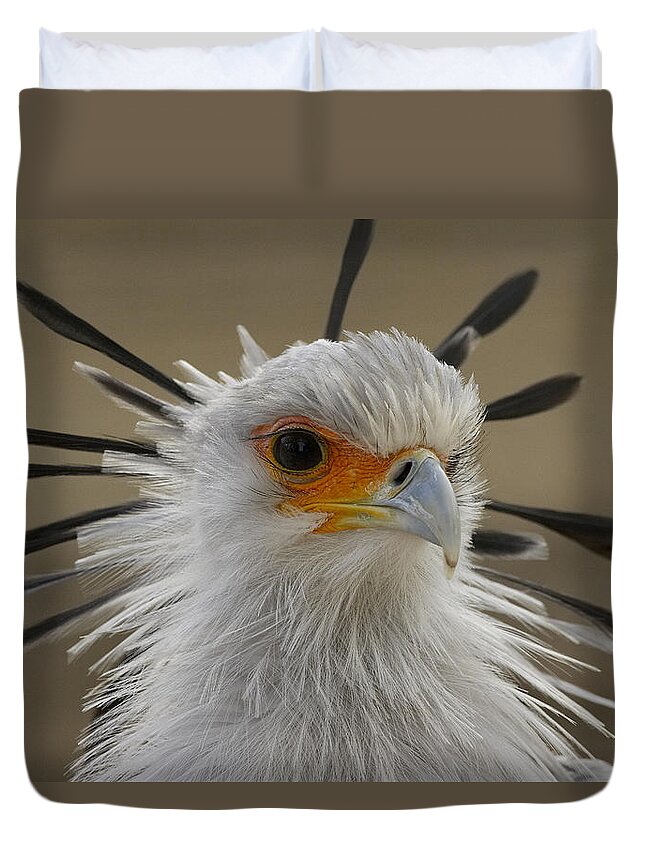 Feb0514 Duvet Cover featuring the photograph Secretary Bird Portrait #2 by San Diego Zoo