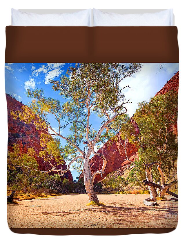Outback Landscape Central Australia Australian Arid Duvet Cover featuring the photograph Simpson's Gap #3 by Bill Robinson