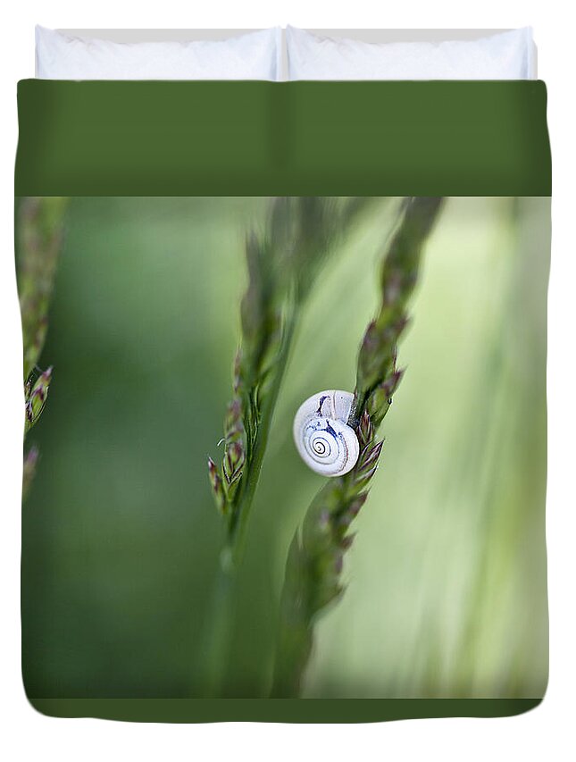 Snail Duvet Cover featuring the photograph Snail on Grass #2 by Nailia Schwarz