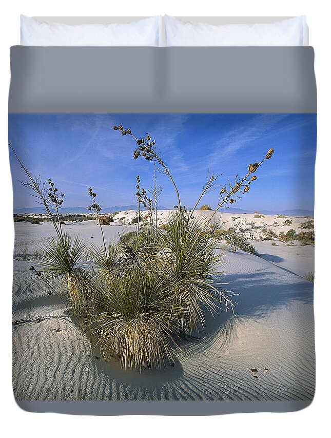 Feb0514 Duvet Cover featuring the photograph Soaptree Yucca In Gypsum Dunes White #2 by Konrad Wothe