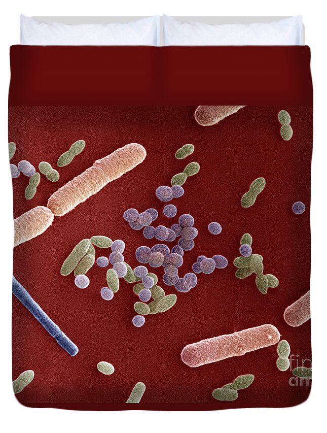 Sem Duvet Cover featuring the photograph Species Of Bacteria #6 by David M Phillips