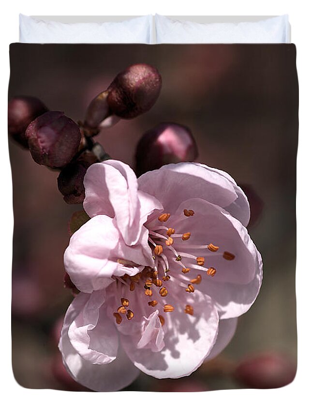 Spring Blossom Duvet Cover featuring the photograph Spring Blossom by Joy Watson
