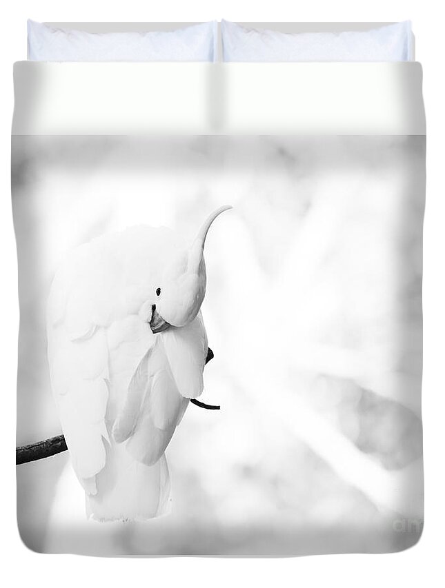 Sulphur Crested Cockatoo Duvet Cover featuring the photograph Sulphur crested cockatoo preening #1 by Sheila Smart Fine Art Photography