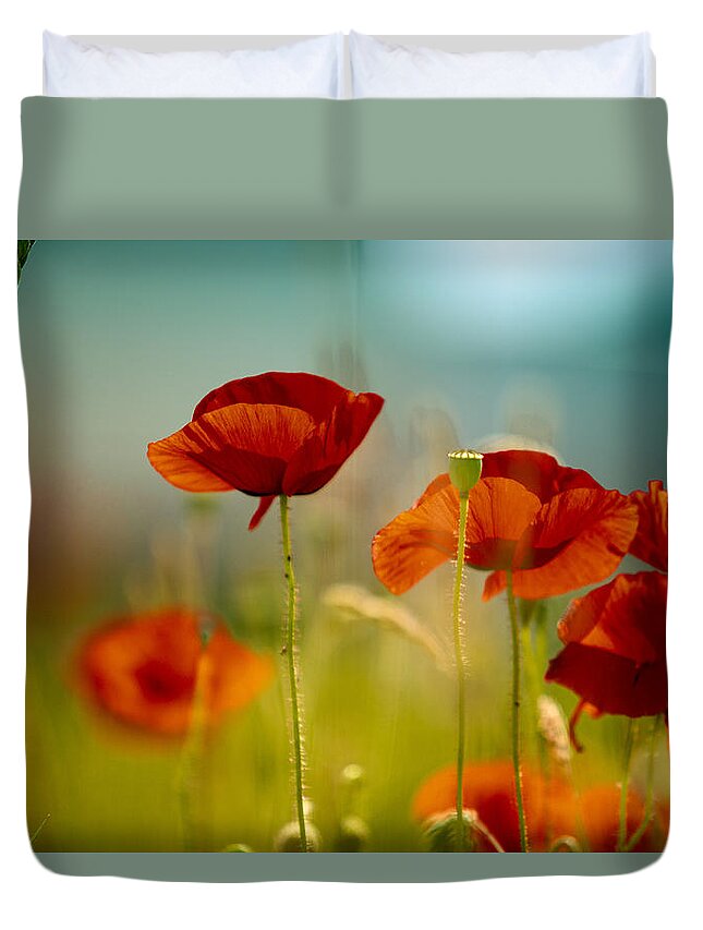 Poppy Duvet Cover featuring the photograph Summer Poppy #2 by Nailia Schwarz