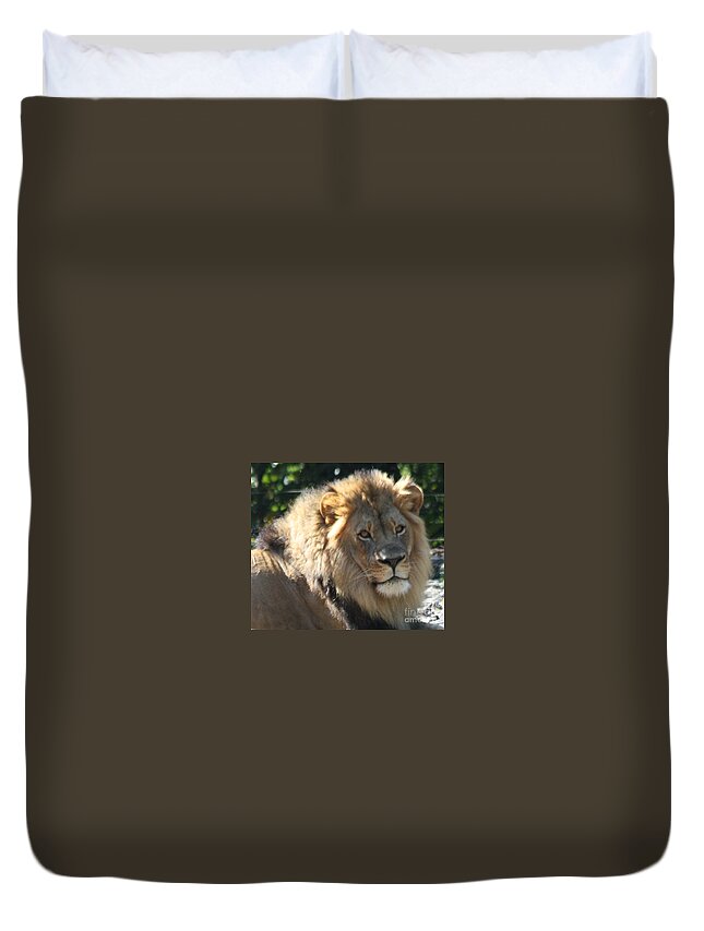 The King Of The Jungle Duvet Cover featuring the photograph The King of the Jungle by John Telfer