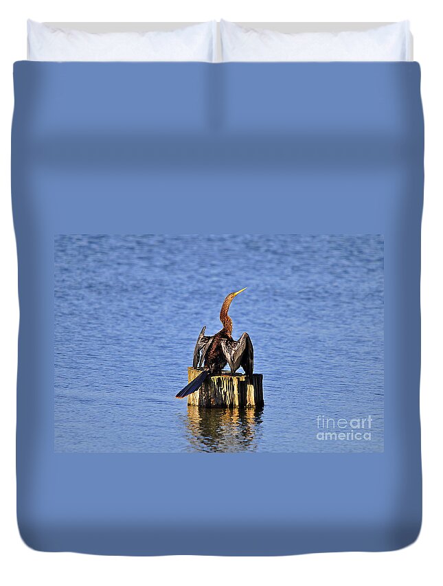 Anhinga Duvet Cover featuring the photograph Wet Wings #2 by Al Powell Photography USA