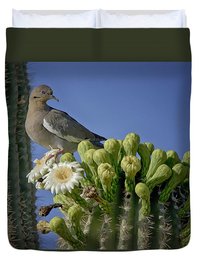 White Winged Dove Duvet Cover featuring the photograph White-winged Dove Atop a Saguaro #2 by Saija Lehtonen