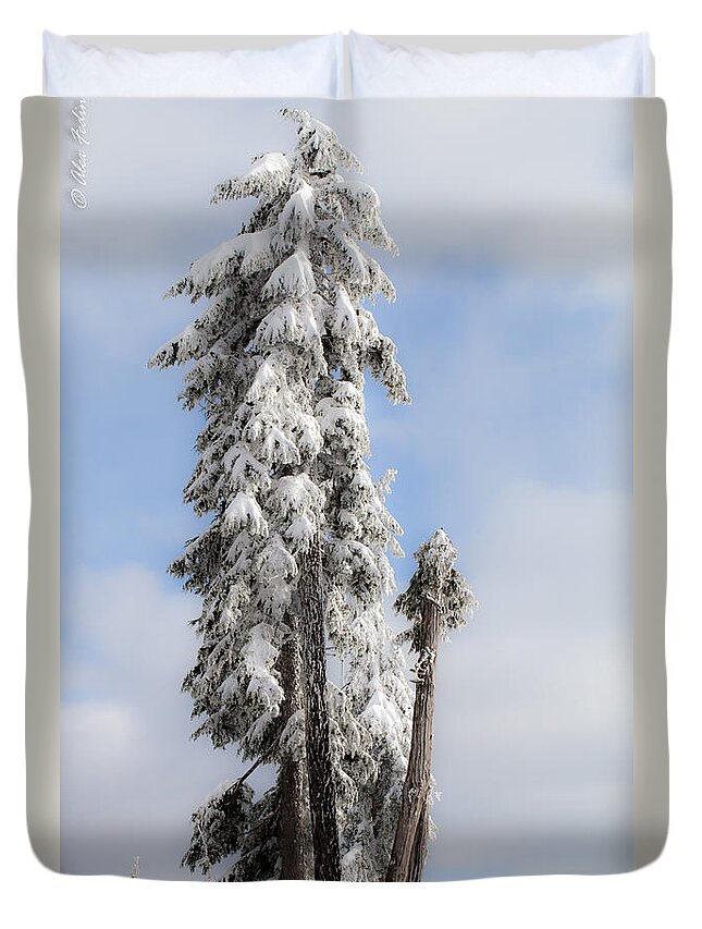 Landscape Duvet Cover featuring the photograph Winter Trees #2 by Alexander Fedin