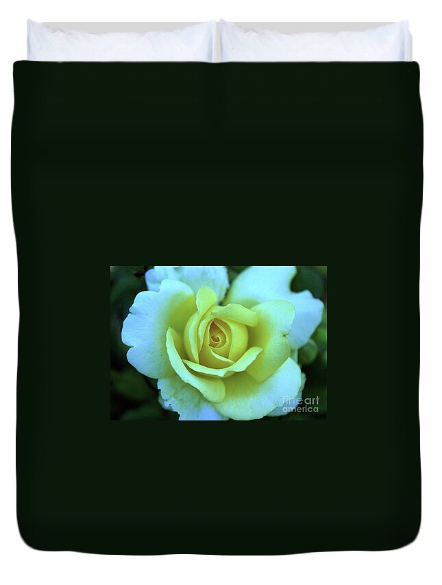 Yellow Rose Duvet Cover featuring the photograph Yellow Rose by Allen Beatty