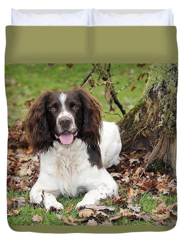 Dog Duvet Cover featuring the photograph English Springer Spaniel by John Daniels