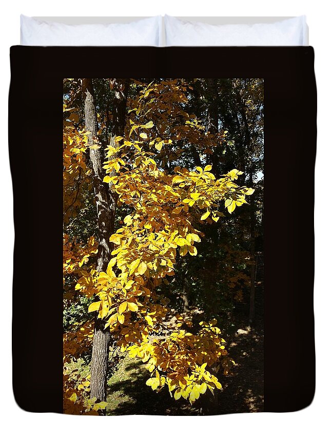 Fall Duvet Cover featuring the photograph Autumn Color #26 by Kenny Glover
