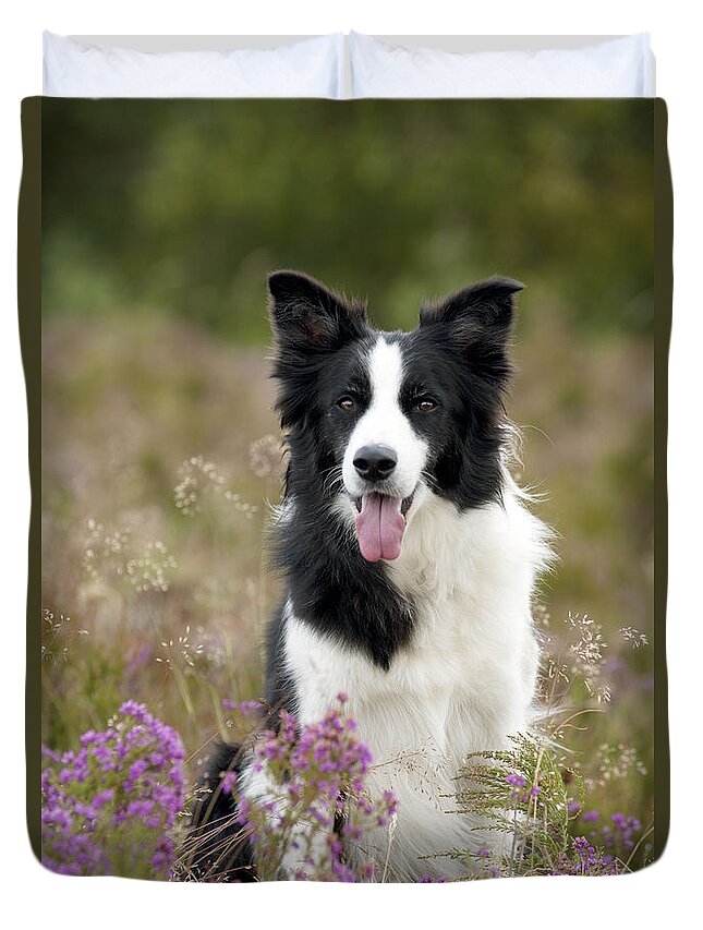 Dog Duvet Cover featuring the photograph Border Collie #27 by John Daniels