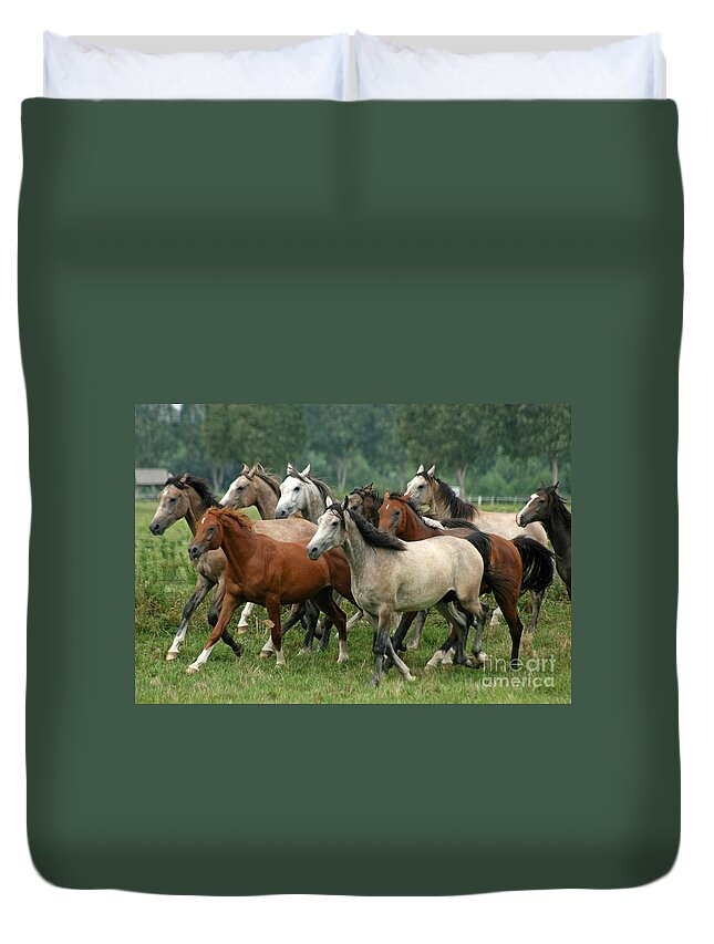 Horse Duvet Cover featuring the photograph Arabian Horses #3 by Ang El