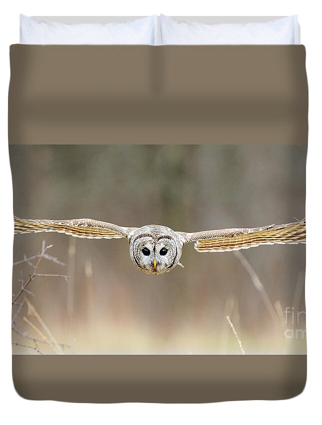 Barred Owl Duvet Cover featuring the photograph Barred Owl In Flight #5 by Scott Linstead