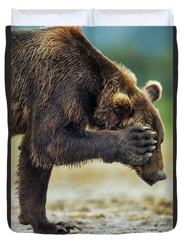 Brown Bear Duvet Cover featuring the photograph Brown Bear, Katmai National Park, Alaska #3 by Paul Souders