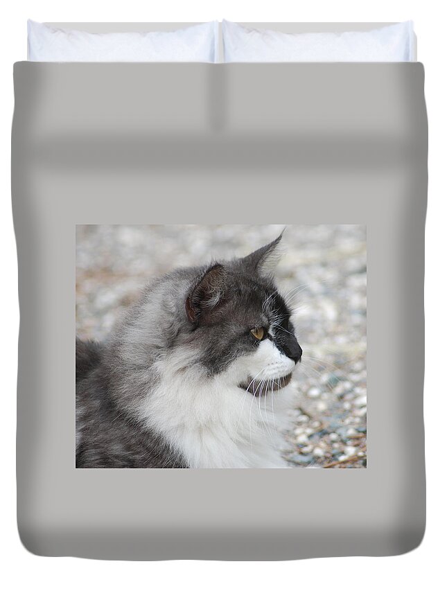 Photograph Duvet Cover featuring the photograph Cat #3 by Larah McElroy