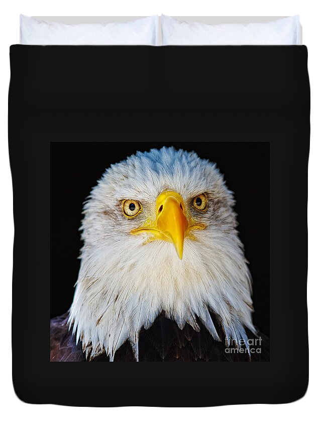 Alaska Duvet Cover featuring the photograph Closeup portrait of an American Bald Eagle #3 by Nick Biemans