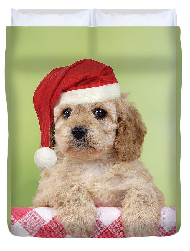 Dog Duvet Cover featuring the photograph Cockapoo Puppy Dog #3 by John Daniels