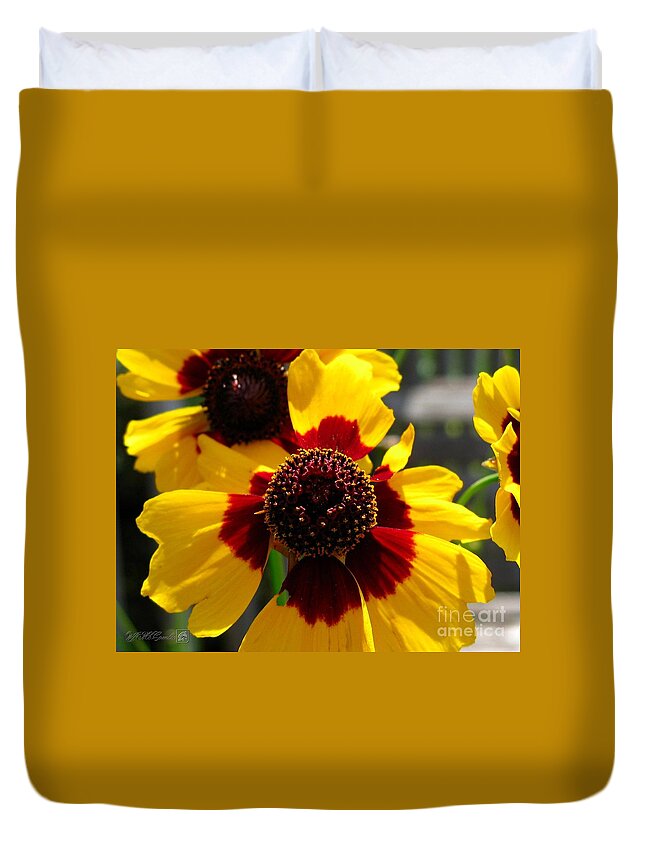 Mccombie Duvet Cover featuring the photograph Coreopsis or Golden Tickseed #3 by J McCombie