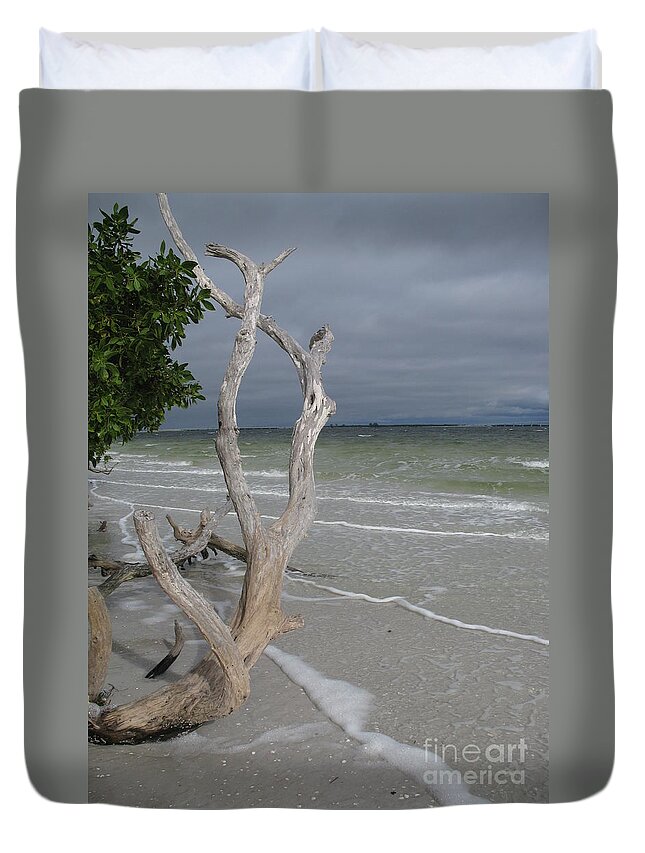 Beach Duvet Cover featuring the photograph Driftwood on the Beach by Christiane Schulze Art And Photography