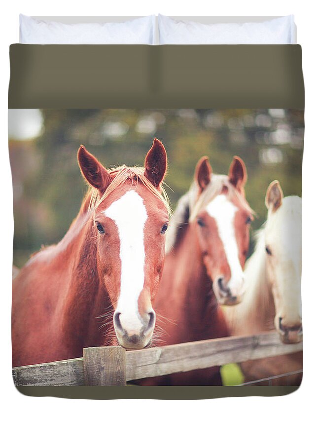 Horse Duvet Cover featuring the photograph 3 Friendly Thoroughbred Horses In Field by Olivia Bell Photography