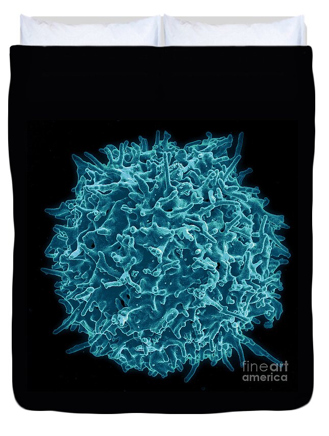 Biology Duvet Cover featuring the photograph Healthy Human T Cell, Sem #3 by Science Source