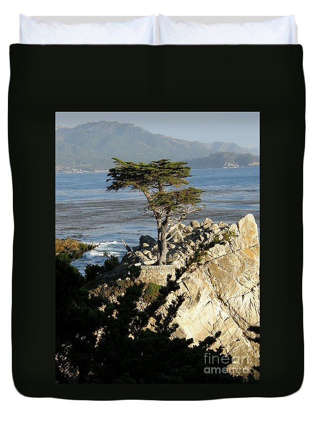 Lone Cypress Duvet Cover featuring the photograph Lone Cypress #3 by Bev Conover
