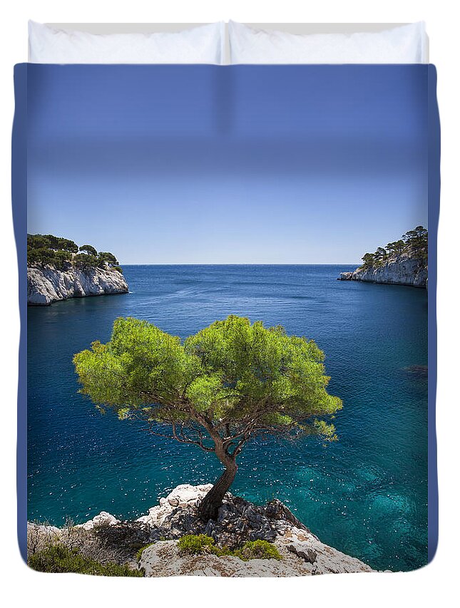 Provence Duvet Cover featuring the photograph Lone Pine Tree #2 by Brian Jannsen