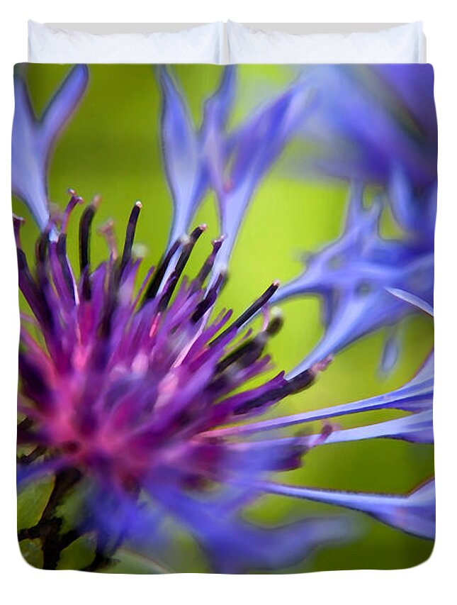 Flower Duvet Cover featuring the photograph Mountain Coneflower by Theresa Tahara