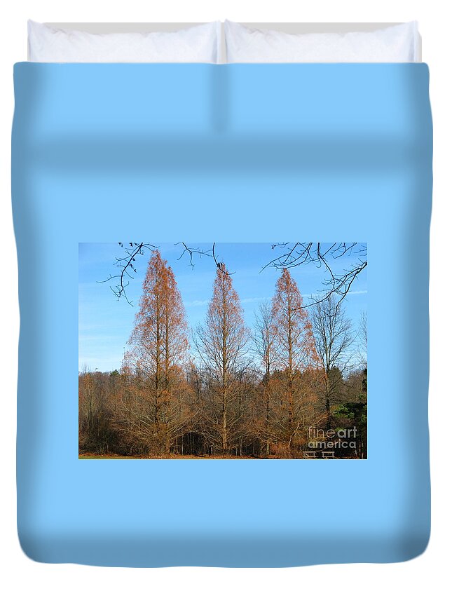 Pine Trees Duvet Cover featuring the photograph 3 Pines by Michael Krek
