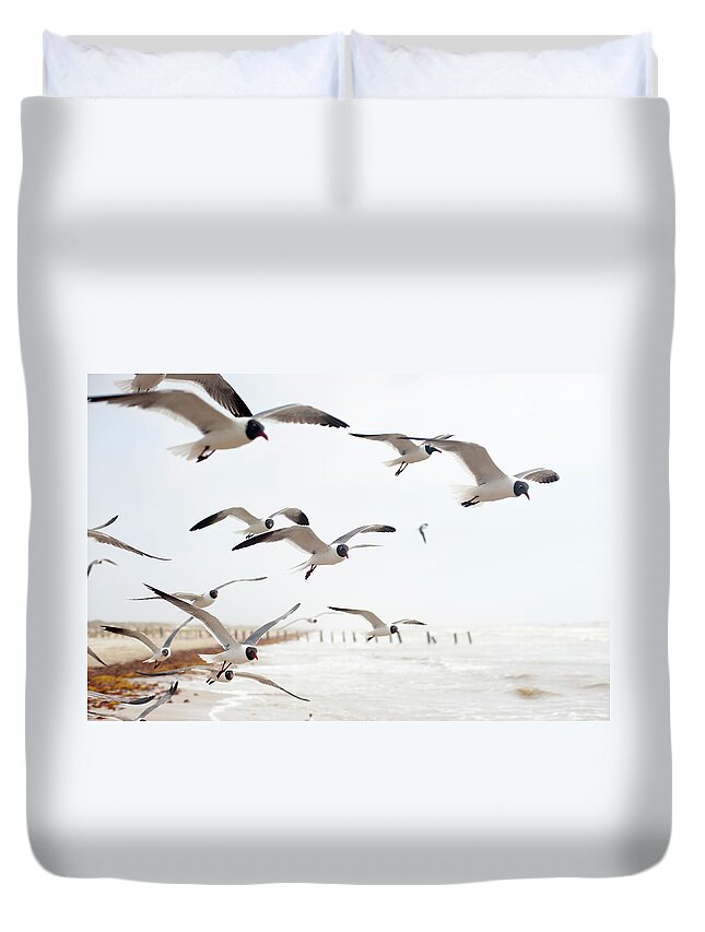 Animal Themes Duvet Cover featuring the photograph Seagulls In Flight #3 by Olga Melhiser Photography