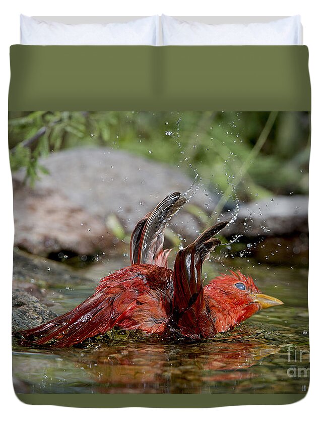 Summer Tanager Duvet Cover featuring the photograph Summer Tanager by Anthony Mercieca