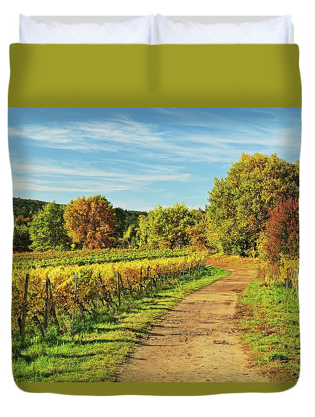 Scenics Duvet Cover featuring the photograph Vineyard Landscape #3 by Jochen Schlenker