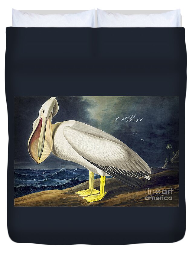 Audubon Watercolors Duvet Cover featuring the drawing American White Pelican #4 by Celestial Images