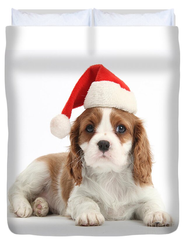 Nature Duvet Cover featuring the photograph Cavalier King Charles Spaniel Puppy #4 by Mark Taylor