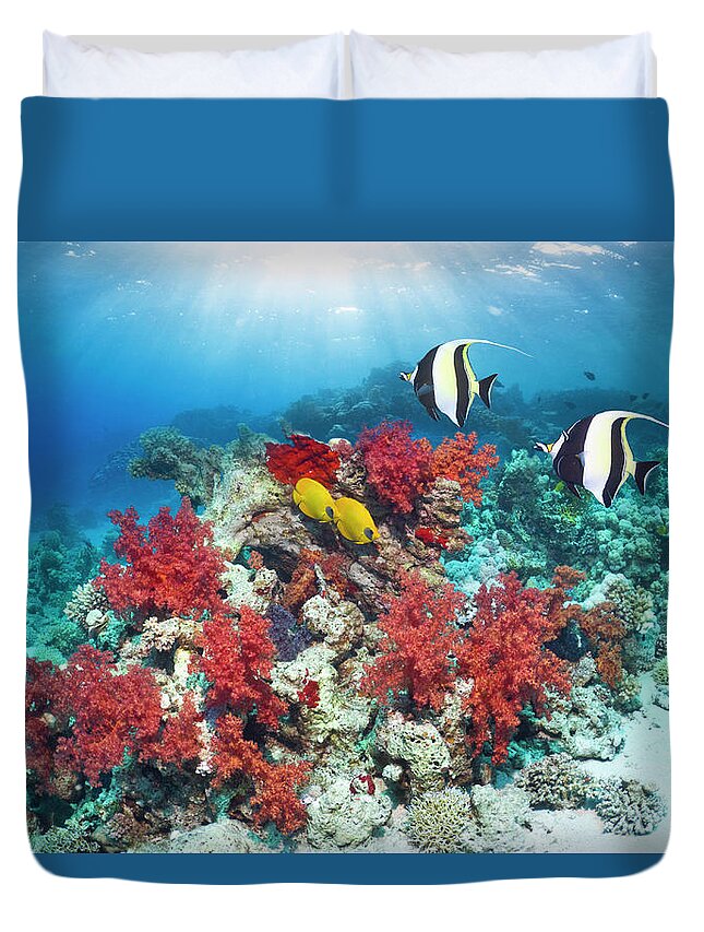 Red Sea Duvet Cover featuring the photograph Coral Reef With Fish #4 by Georgette Douwma