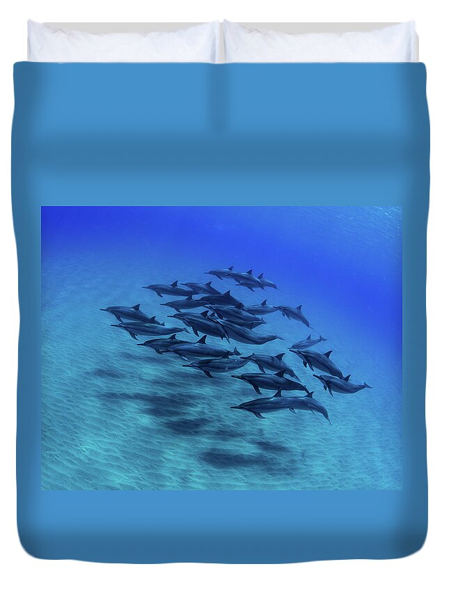 Photography Duvet Cover featuring the photograph Elevated View Of School Of Dolphins #4 by Panoramic Images