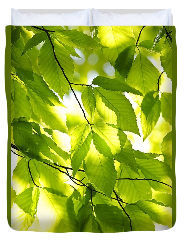 Green Duvet Cover featuring the photograph Green spring leaves 3 by Elena Elisseeva