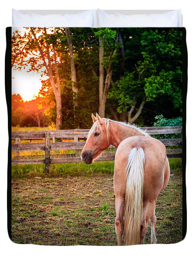 Bluegrass Duvet Cover featuring the photograph Horse on a farm #4 by Alexey Stiop