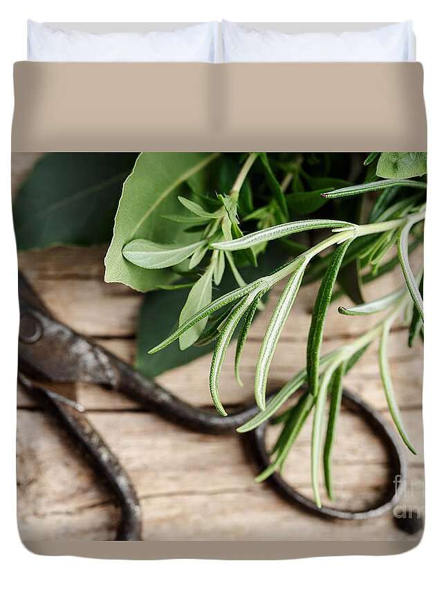 Lorel Duvet Cover featuring the photograph Kitchen Herbs #4 by Nailia Schwarz