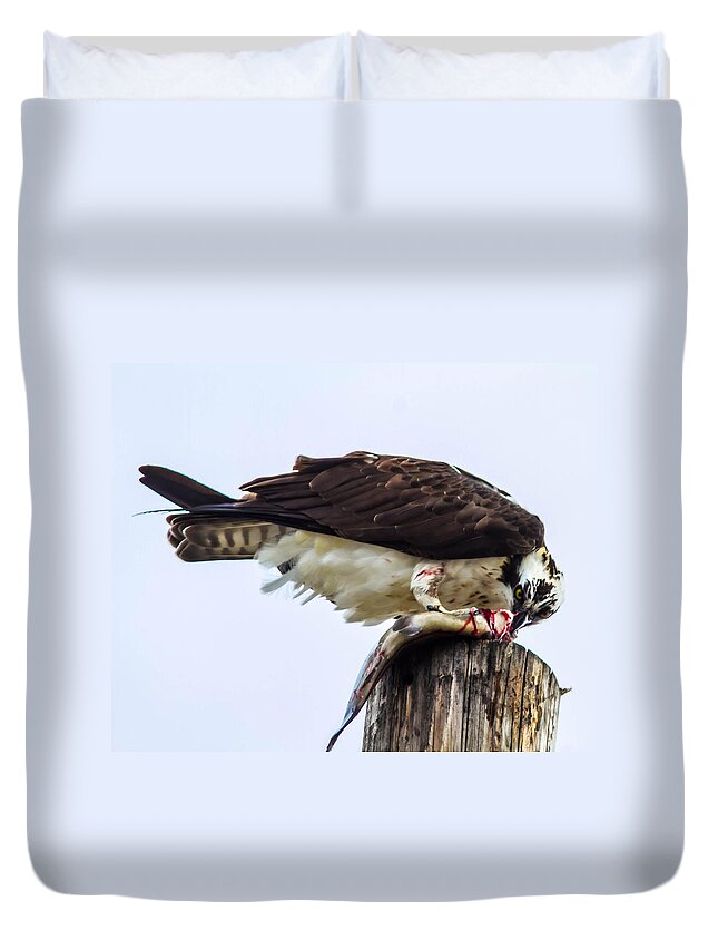 Wildlife Duvet Cover featuring the photograph Osprey wit a trout #4 by Brian Williamson