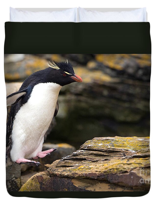 Southern Rockhopper Penguin Duvet Cover featuring the photograph Rockhopper Penguin by John Shaw