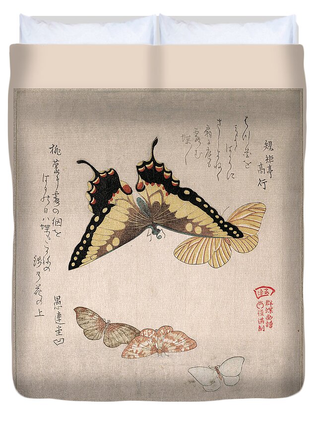 Kubo Shunman Duvet Cover featuring the drawing Various Moths and Butterflies #4 by Kubo Shunman
