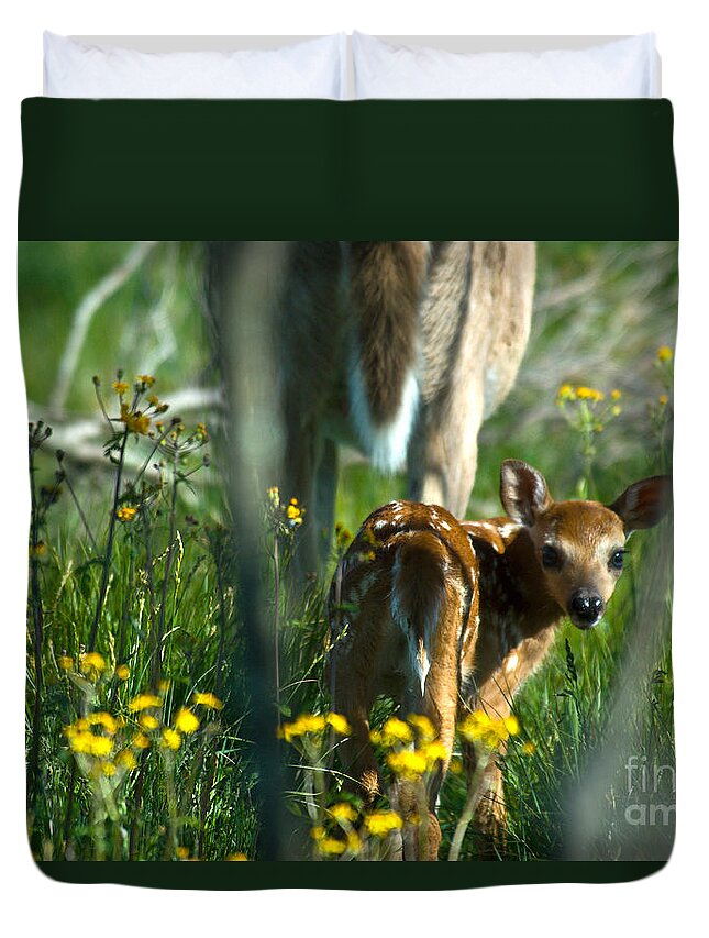 Fauna Duvet Cover featuring the photograph Whitetail Deer Fawn #4 by Mark Newman