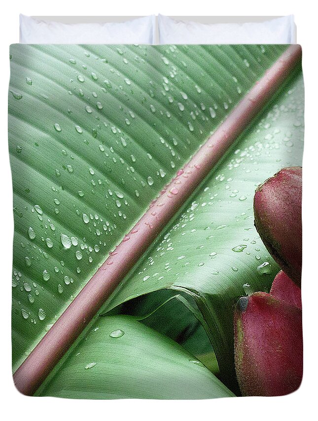 Banana Duvet Cover featuring the photograph Banana Leaf by Heiko Koehrer-Wagner