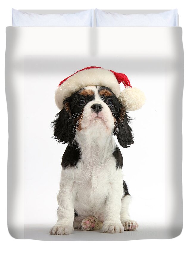 Nature Duvet Cover featuring the photograph Cavalier King Charles Spaniel Puppy #5 by Mark Taylor