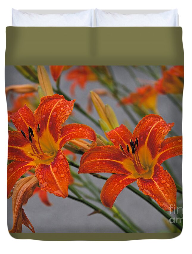 Day Lilly Duvet Cover featuring the photograph Day Lilly by William Norton